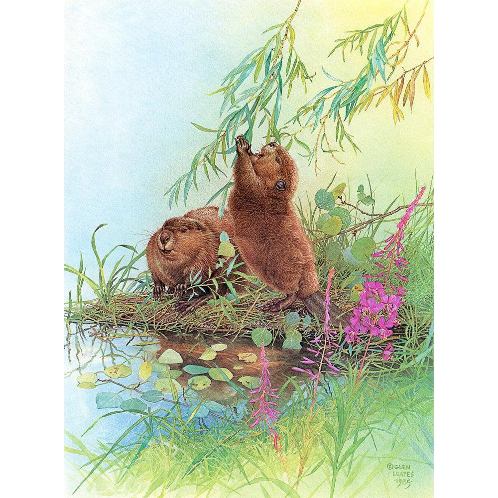 Beavers - Art Print | Artwork by Glen Loates