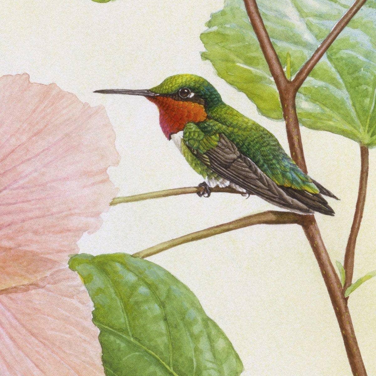 Hummingbirds And Hibiscus - Art Print | Artwork by Glen Loates