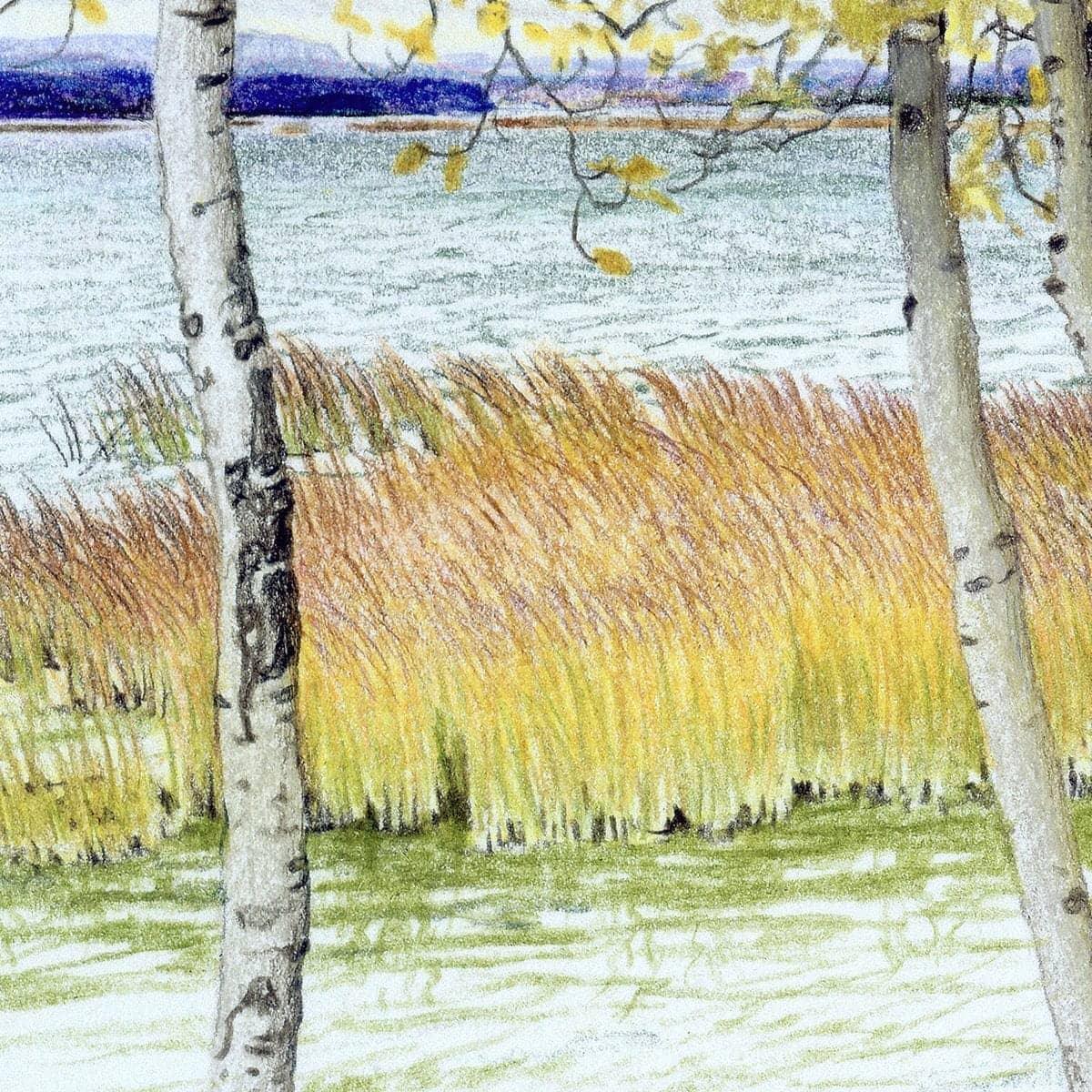 Lac Cardinal Peace River - Art Print | Artwork by Glen Loates