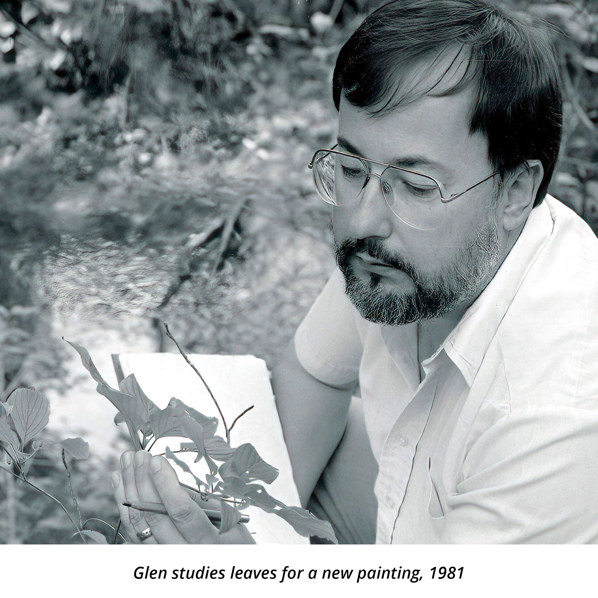Glen Loates studies leaves for a new painting, 1981
