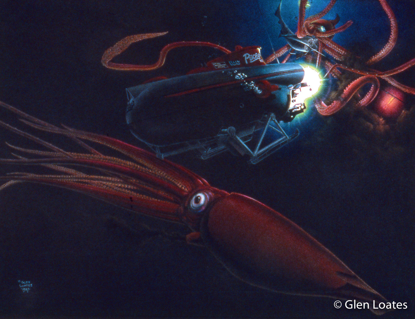 Pieces with Giant Squid by Glen Loates