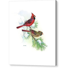 Gallery Canvas