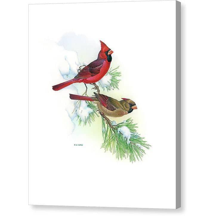 Cardinaux par Glen Loates, toile de galerie aux bords enveloppés en miroir