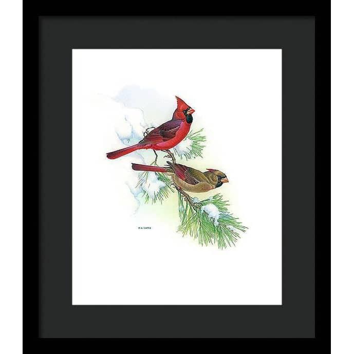 Cardinals - Framed Print | Artwork by Glen Loates