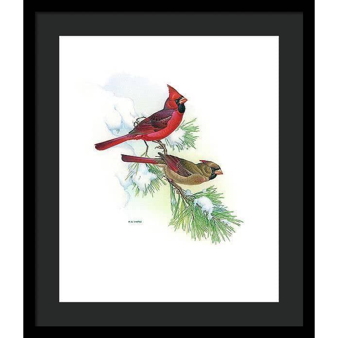 Cardinals - Framed Print | Artwork by Glen Loates