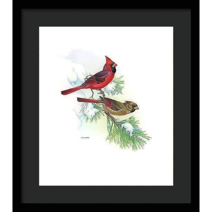 Cardinals - Framed Print | Artwork by Glen Loates