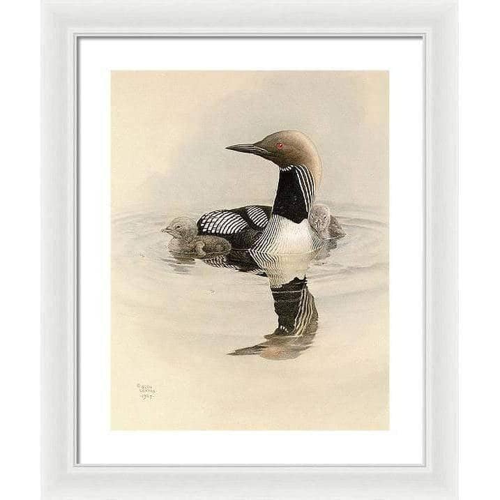 Arctic Loon With Young - Framed Print | Artwork by Glen Loates