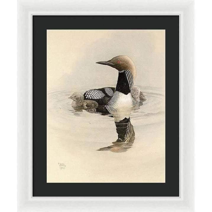 Arctic Loon With Young - Framed Print | Artwork by Glen Loates
