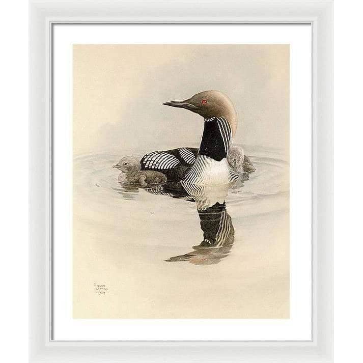 Arctic Loon With Young - Framed Print | Artwork by Glen Loates