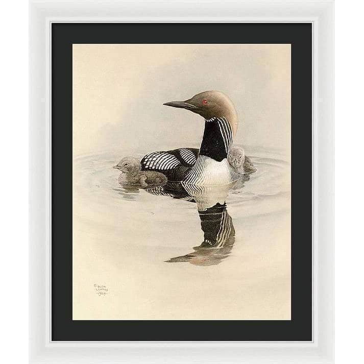 Arctic Loon With Young - Framed Print | Artwork by Glen Loates