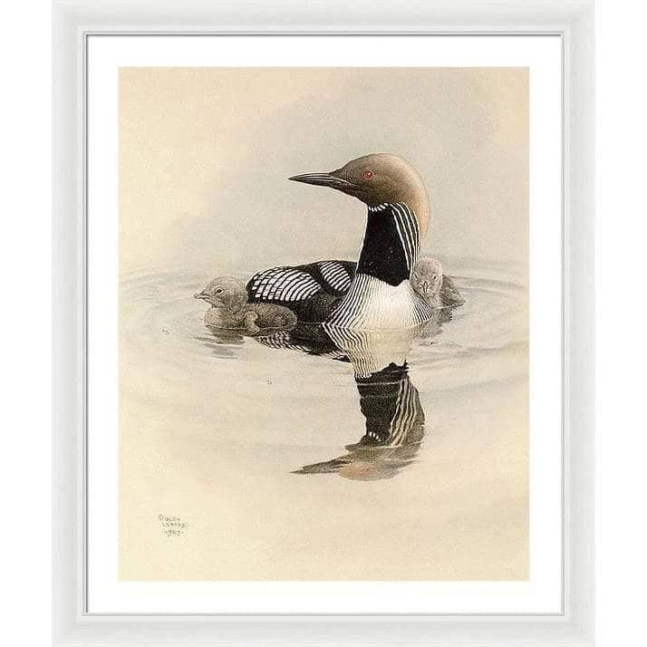 Arctic Loon With Young - Framed Print | Artwork by Glen Loates
