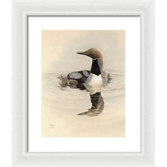 Arctic Loon With Young - Framed Print | Artwork by Glen Loates