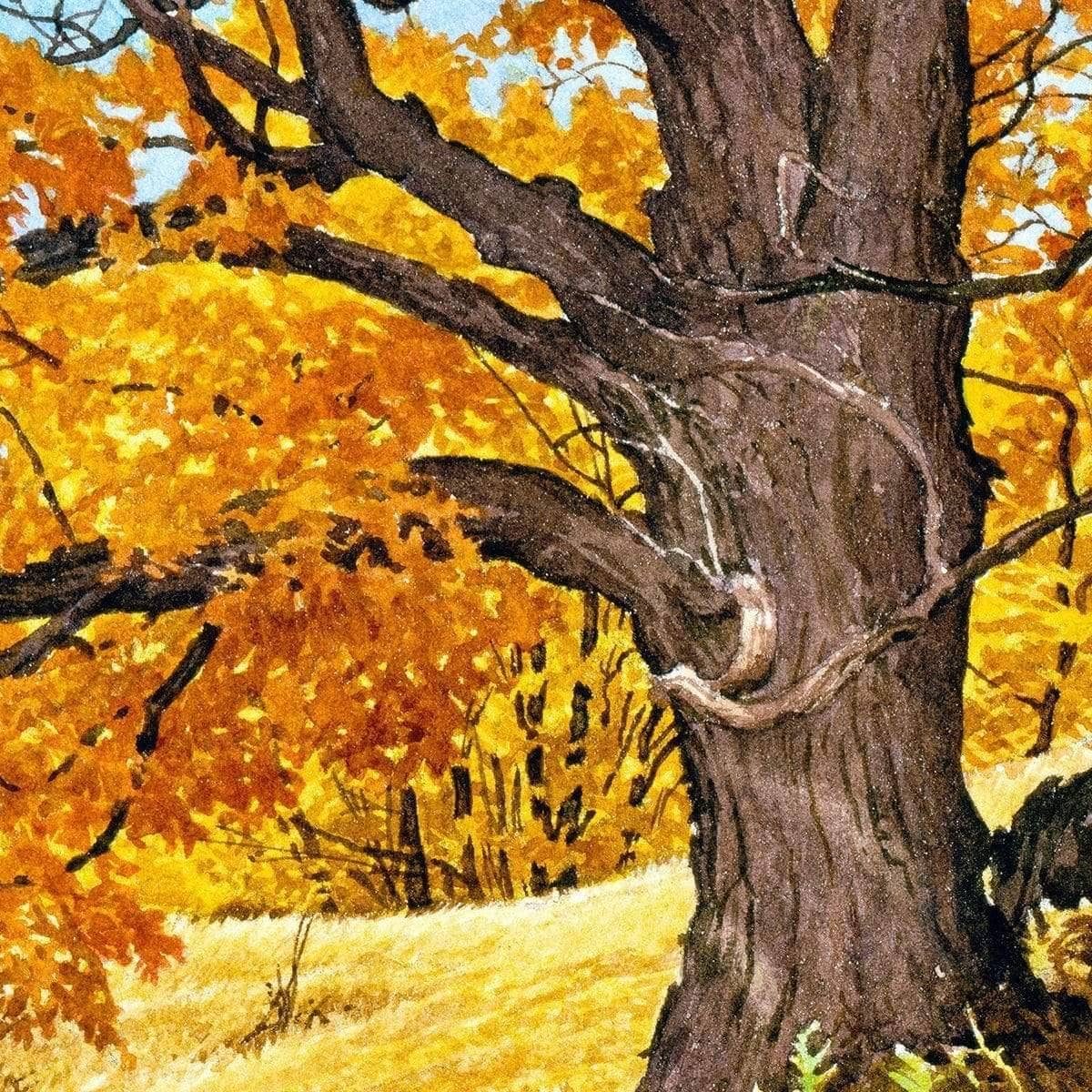Autumn Day - Framed Print | Artwork by Glen Loates