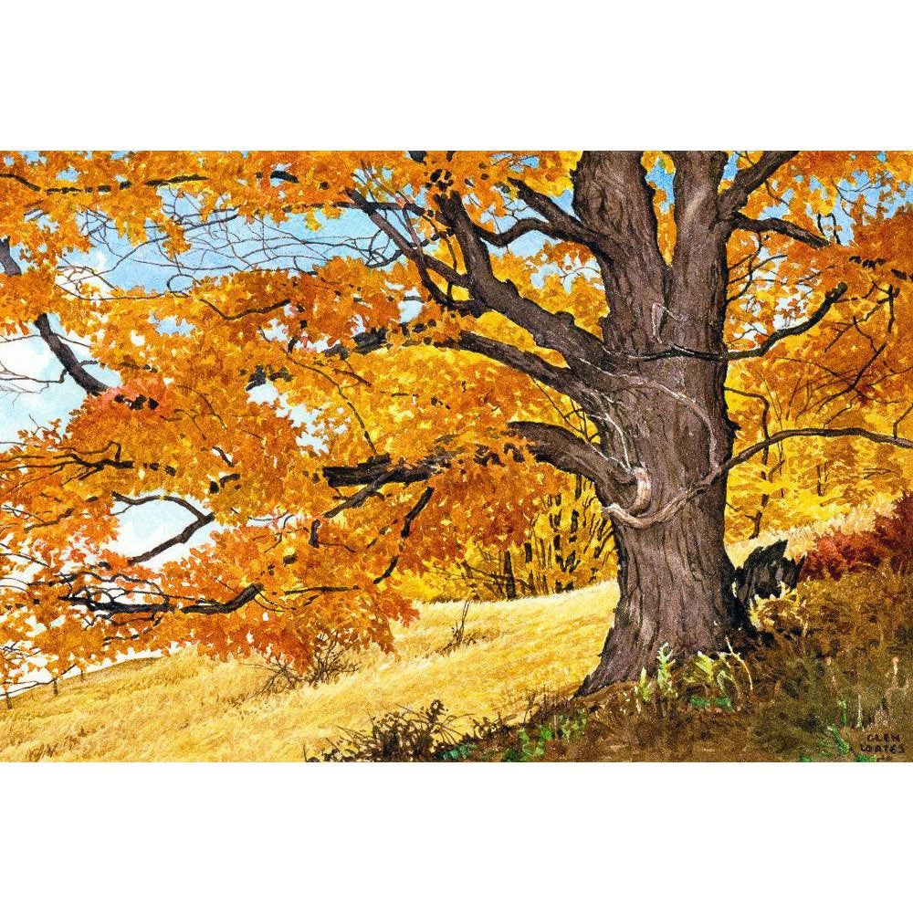 Autumn Day - Framed Print | Artwork by Glen Loates