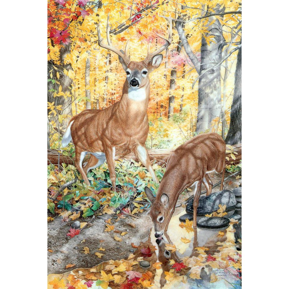 Autumn Deer - Canvas Print | Artwork by Glen Loates