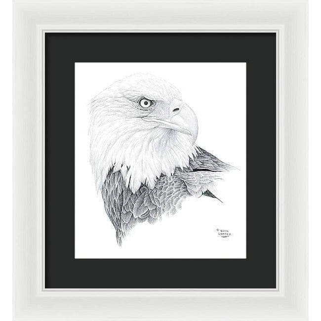 Bald Eagle Portrait - Framed Print | Artwork by Glen Loates