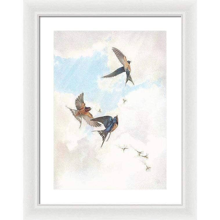 Barn Swallows - Framed Print | Artwork by Glen Loates