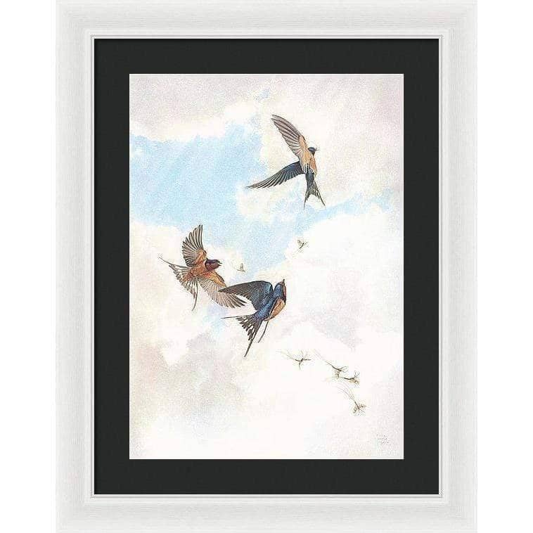 Barn Swallows - Framed Print | Artwork by Glen Loates