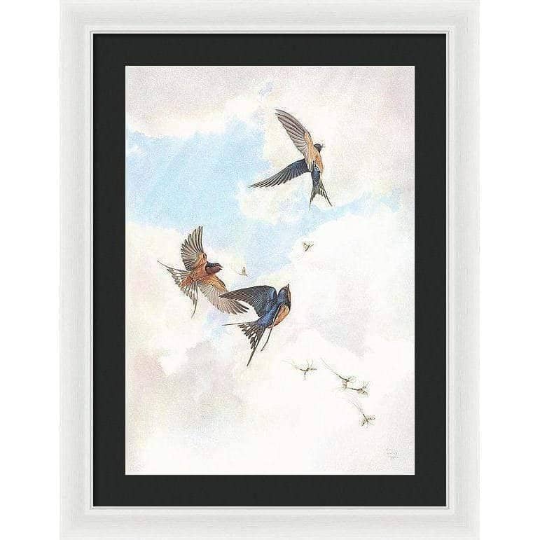 Barn Swallows - Framed Print | Artwork by Glen Loates