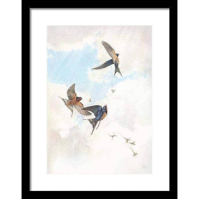 Barn Swallows - Framed Print | Artwork by Glen Loates