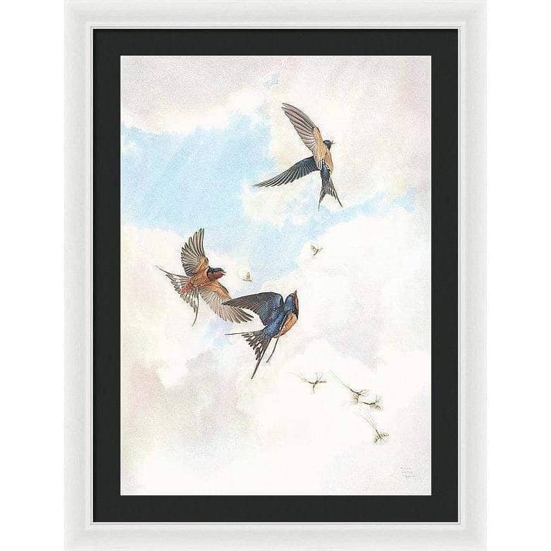 Barn Swallows - Framed Print | Artwork by Glen Loates