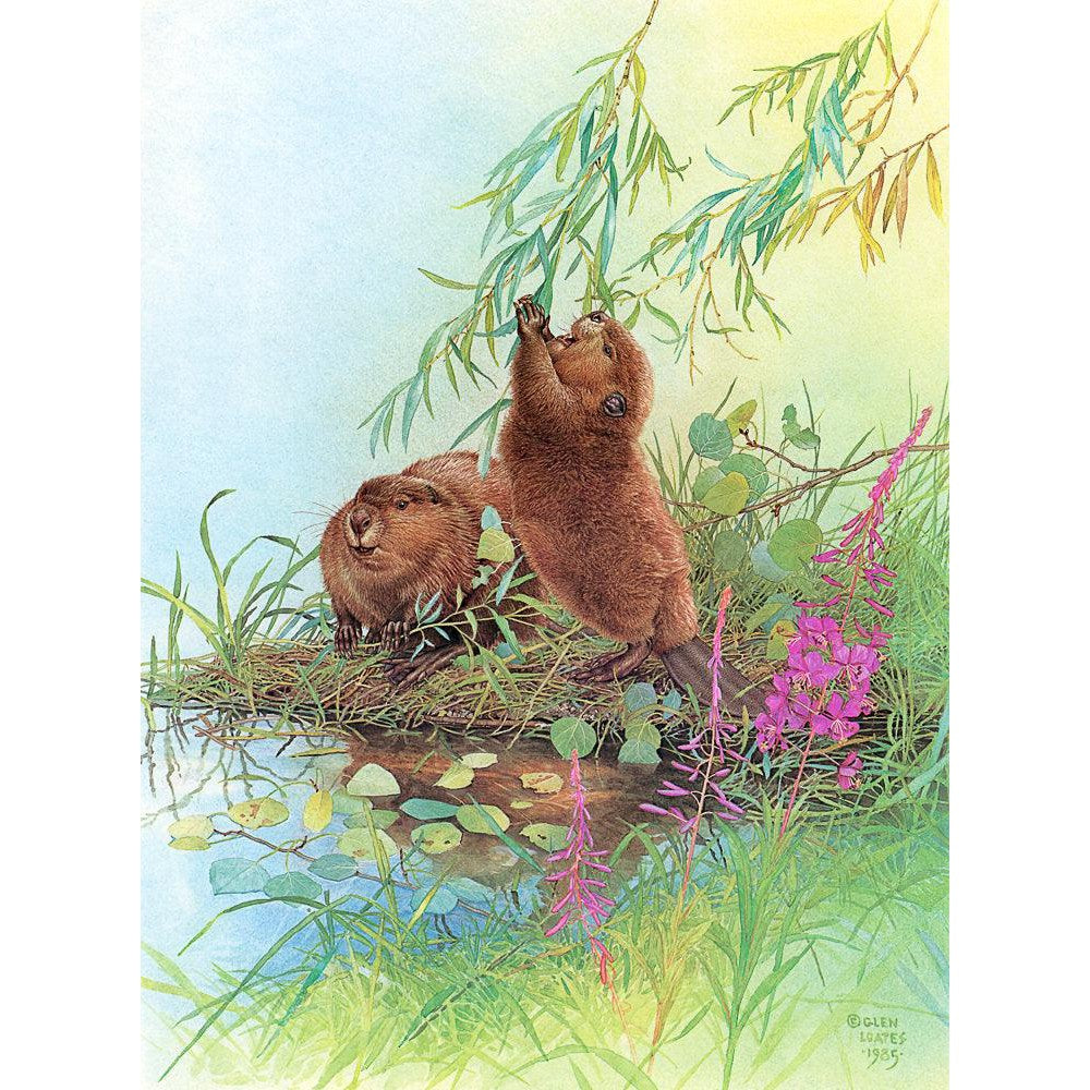 Beavers - Canvas Print | Artwork by Glen Loates