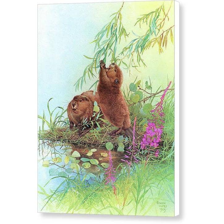 Beavers - Canvas Print | Artwork by Glen Loates