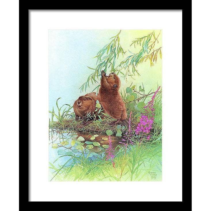 Beavers - Framed Print | Artwork by Glen Loates