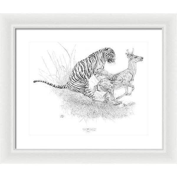 Bengal Tiger Pulling Down a Chital Deer - Framed Print | Artwork by Glen Loates