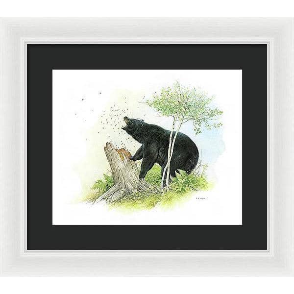 Black Bear and Honey Bees - Framed Print | Artwork by Glen Loates