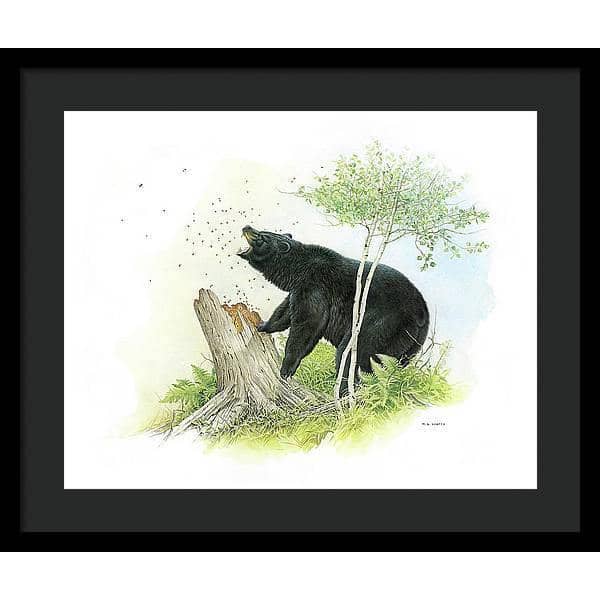 Black Bear and Honey Bees - Framed Print | Artwork by Glen Loates