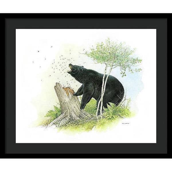 Black Bear and Honey Bees - Framed Print | Artwork by Glen Loates