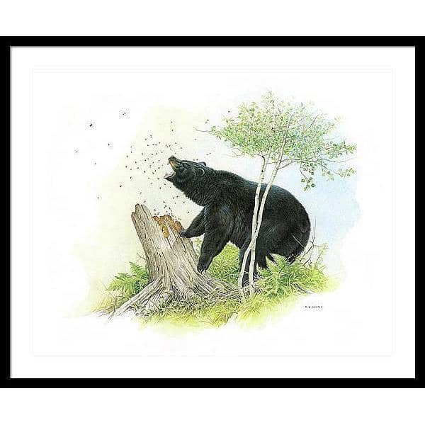 Black Bear and Honey Bees - Framed Print | Artwork by Glen Loates