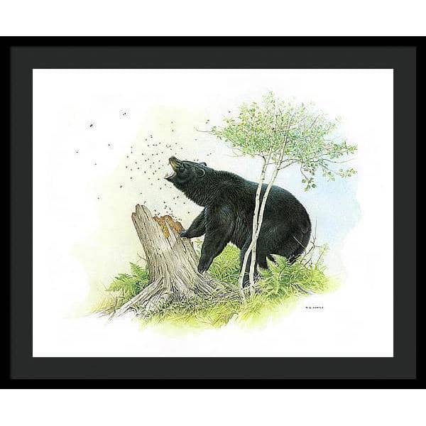 Black Bear and Honey Bees - Framed Print | Artwork by Glen Loates