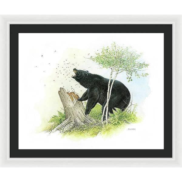 Black Bear and Honey Bees - Framed Print | Artwork by Glen Loates