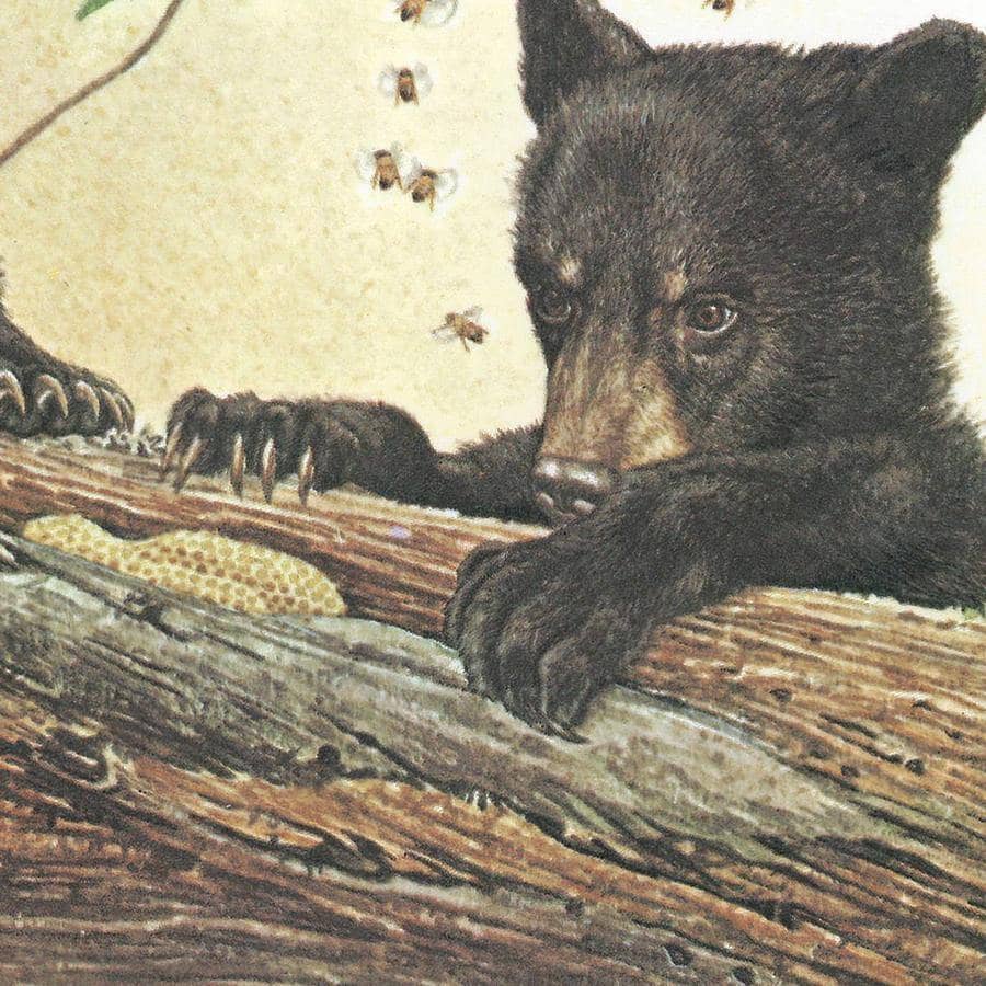 Black Bear Cubs - Canvas Print | Artwork by Glen Loates