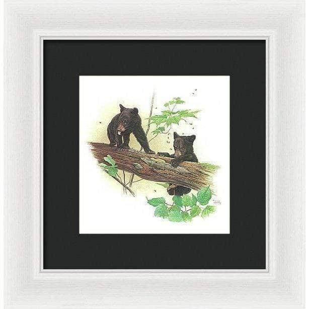 Black Bear Cubs - Framed Print | Artwork by Glen Loates