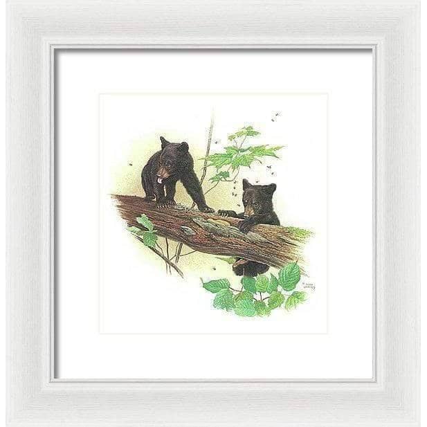 Black Bear Cubs - Framed Print | Artwork by Glen Loates