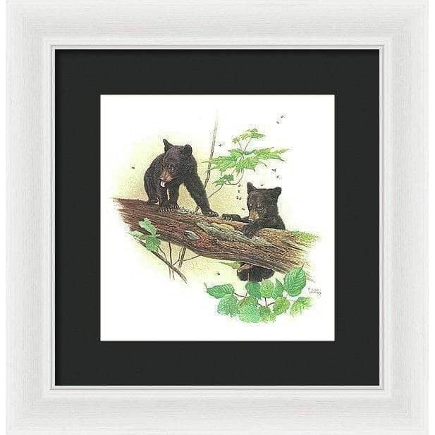 Black Bear Cubs - Framed Print | Artwork by Glen Loates