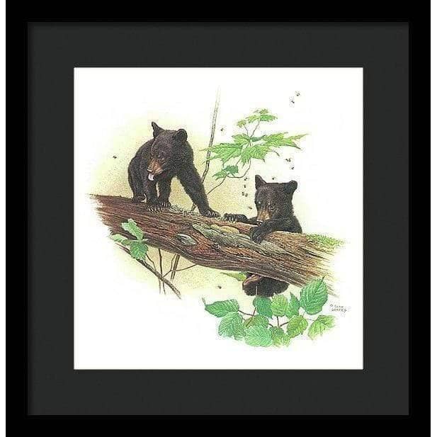 Black Bear Cubs - Framed Print | Artwork by Glen Loates