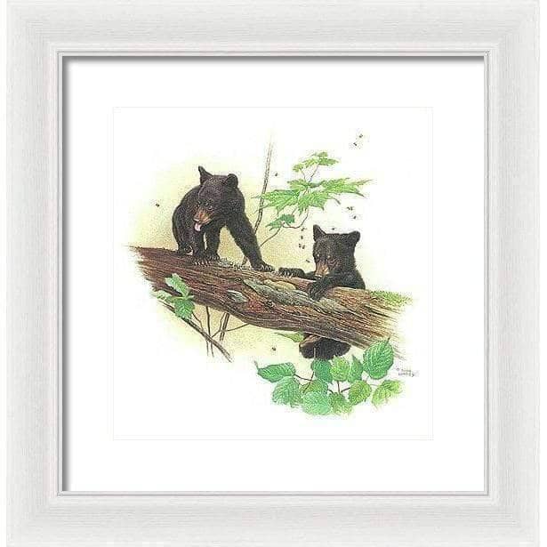 Black Bear Cubs - Framed Print | Artwork by Glen Loates
