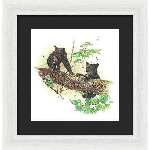 Black Bear Cubs - Framed Print | Artwork by Glen Loates