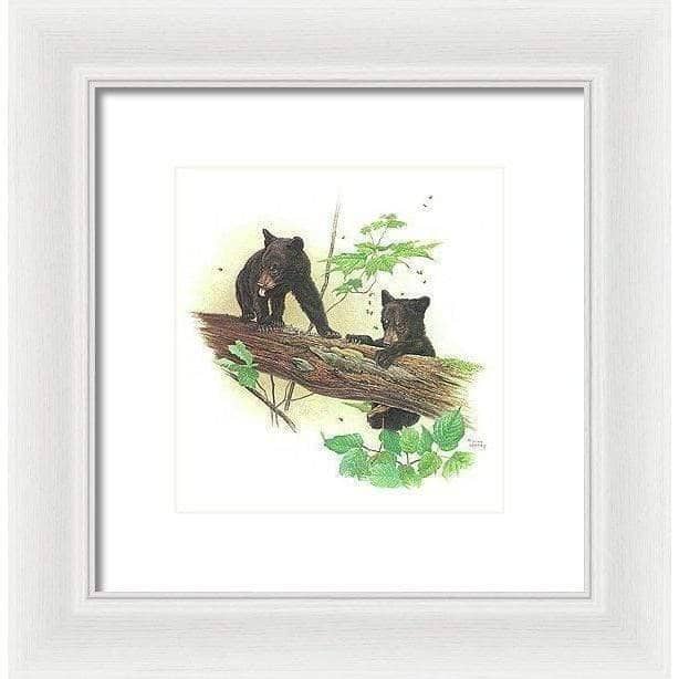 Black Bear Cubs - Framed Print | Artwork by Glen Loates