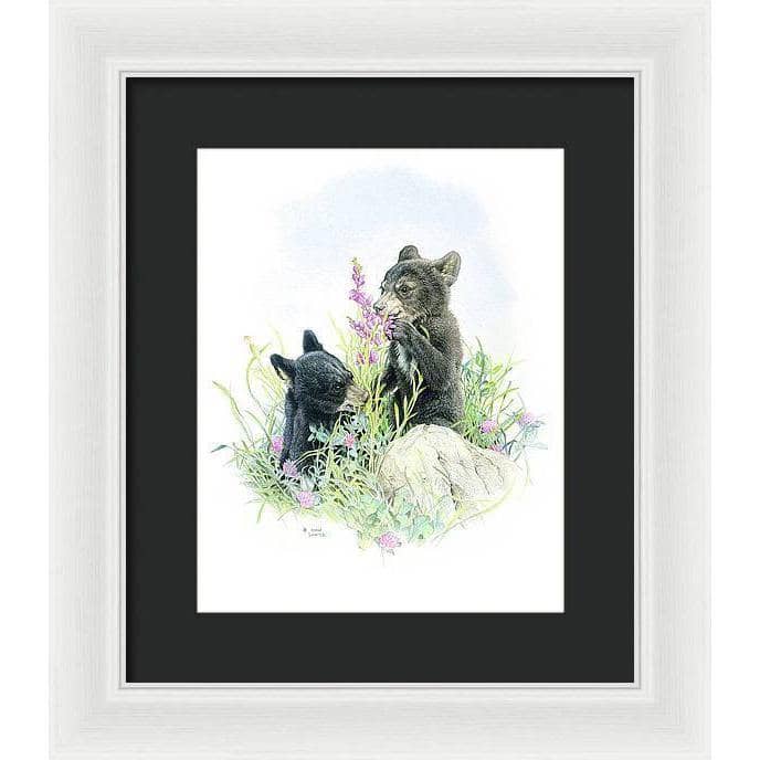 Black Bear Cubs in Grass - Framed Print | Artwork by Glen Loates