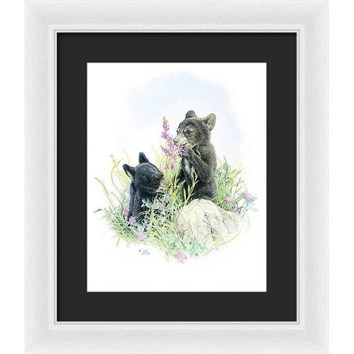 Black Bear Cubs in Grass - Framed Print | Artwork by Glen Loates