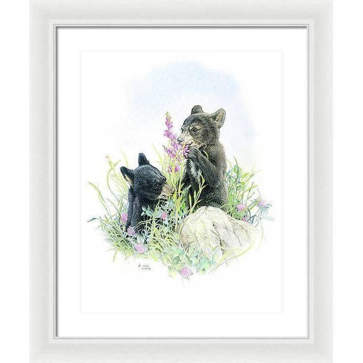 Black Bear Cubs in Grass - Framed Print | Artwork by Glen Loates