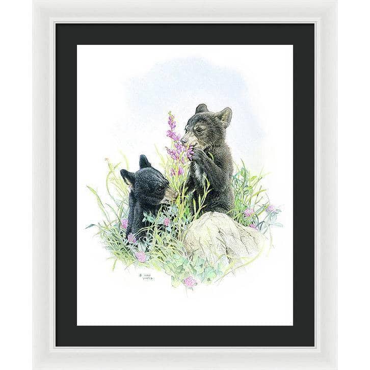 Black Bear Cubs in Grass - Framed Print | Artwork by Glen Loates