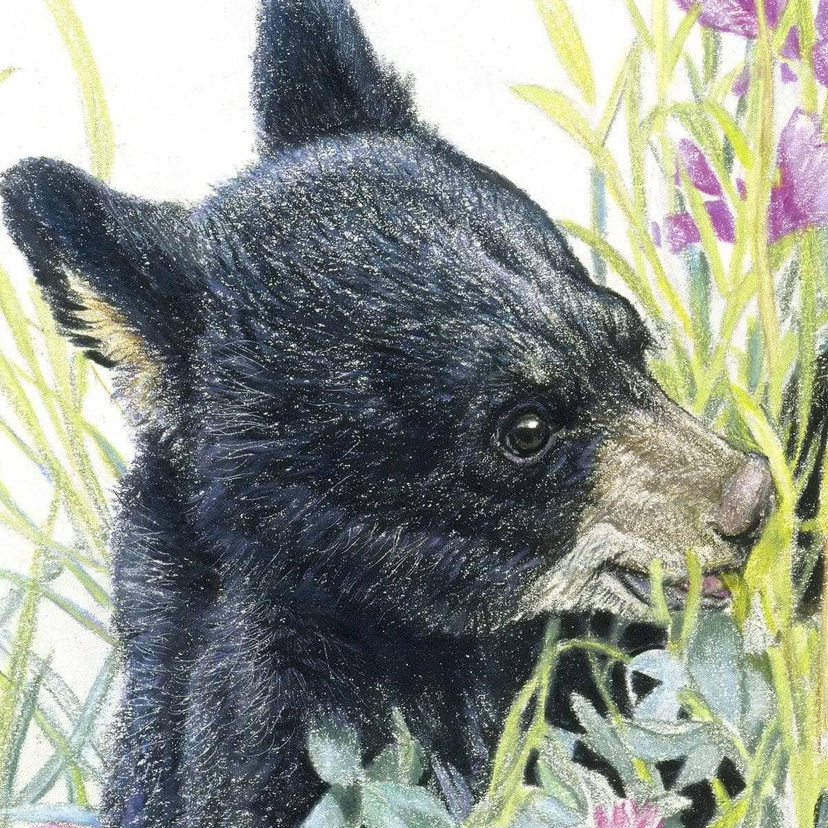 Black Bear Cubs in Grass - Framed Print | Artwork by Glen Loates
