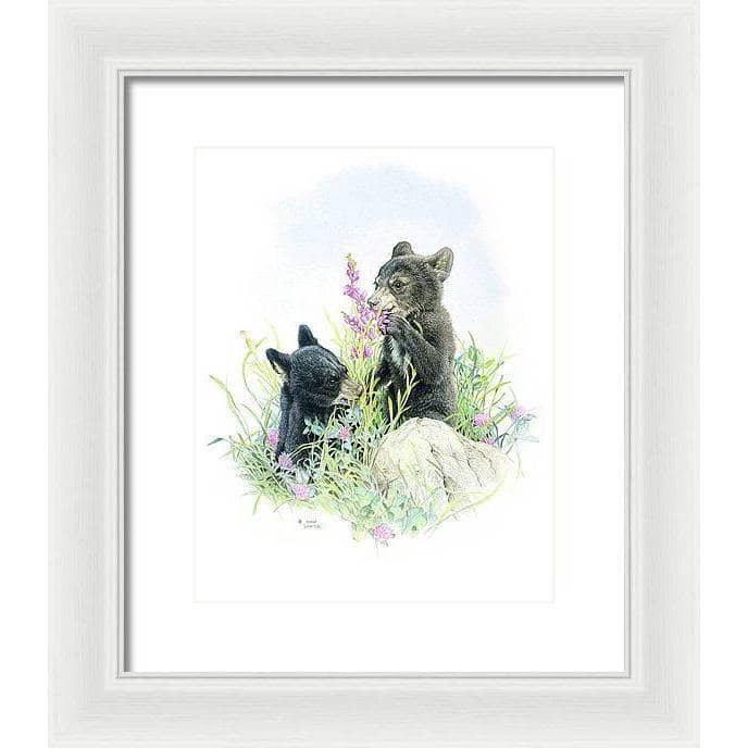 Black Bear Cubs in Grass - Framed Print | Artwork by Glen Loates