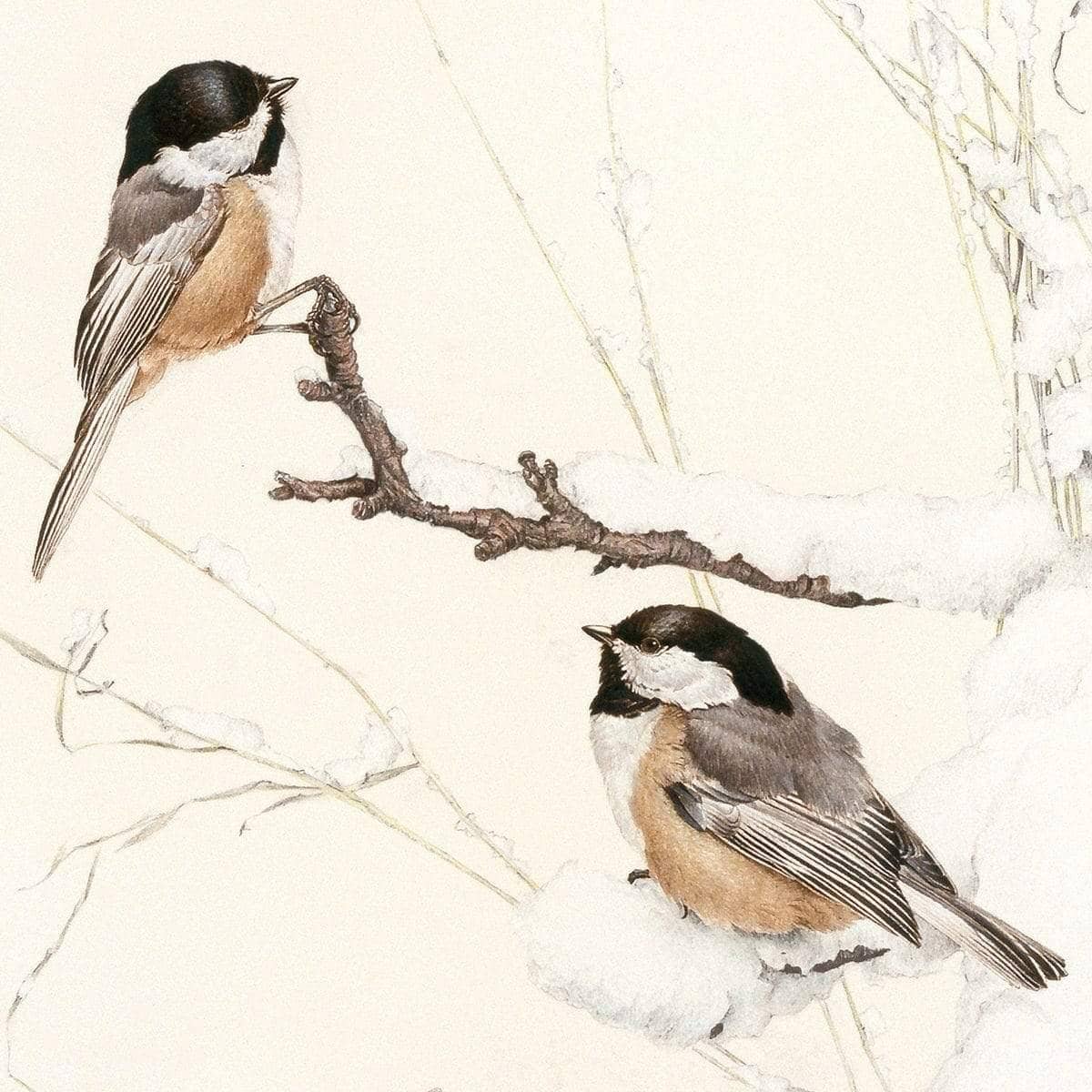 Black-Capped Chickadees - Framed Print | Artwork by Glen Loates